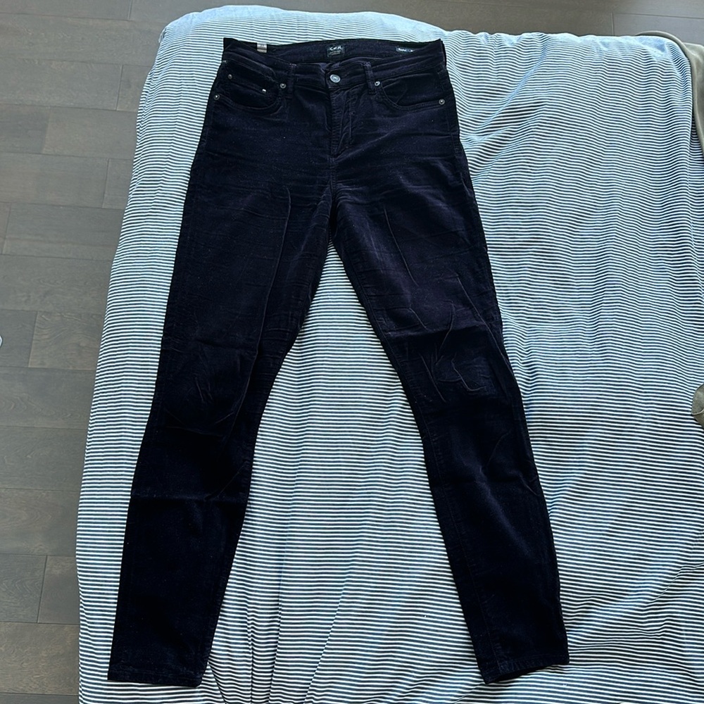 Citizens of humanity velvet pants